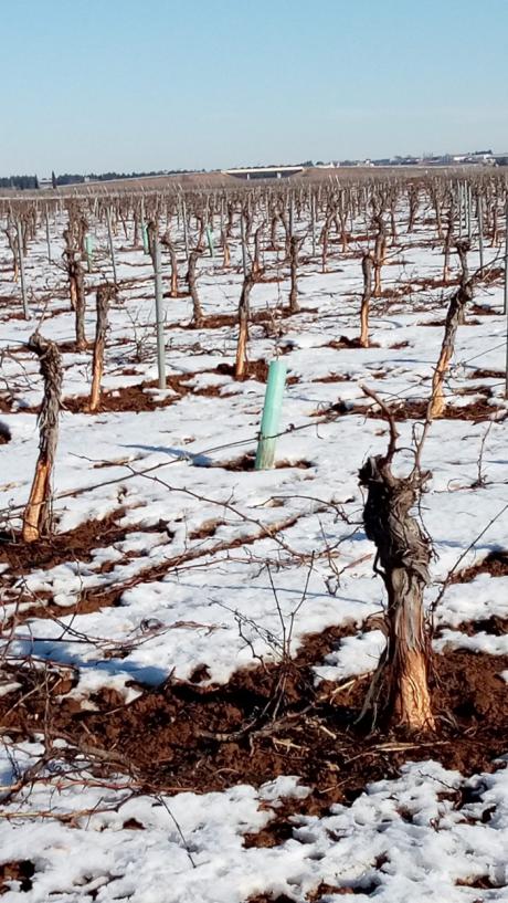 Se busca el apoyo de las instituciones para solucionar el problema de los desplazamientos y los daños provocados por la nieve a los agricultores