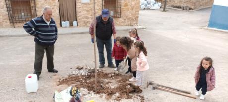 Albendea se suma a la plantacio&#769;n de un A&#769;rbol por Europa