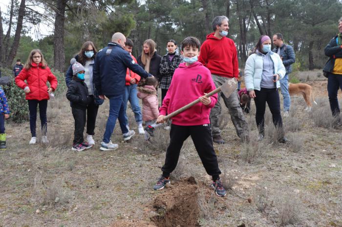 Villalba de la Sierra retoma nuevamente el Día del Árbol con más fechas y actividades
