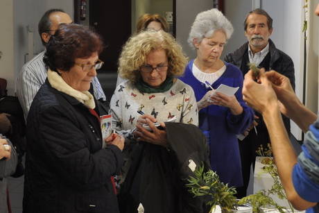 El Centro Joven participa del proyecto "Las plantas que nos unen 2017"