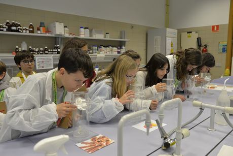 La UCLM promueve el interés por la investigación de un millar de escolares en el Día de la Mujer y la Niña en la Ciencia