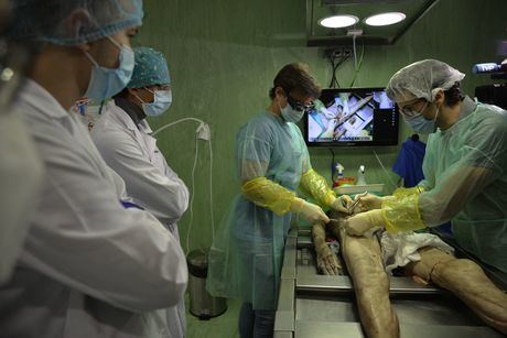 La Facultad de Medicina de Ciudad Real es la primera española en incorporar la realidad aumentada a las prácticas de anatomía