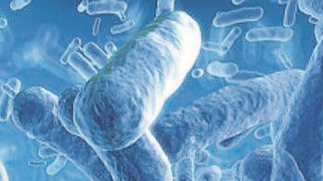 Salud Pública confirma un brote de tosferina con 124 afectados