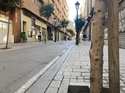 Albacete lleva a cabo un plan para reponer 737 árboles en las calles de la ciudad
