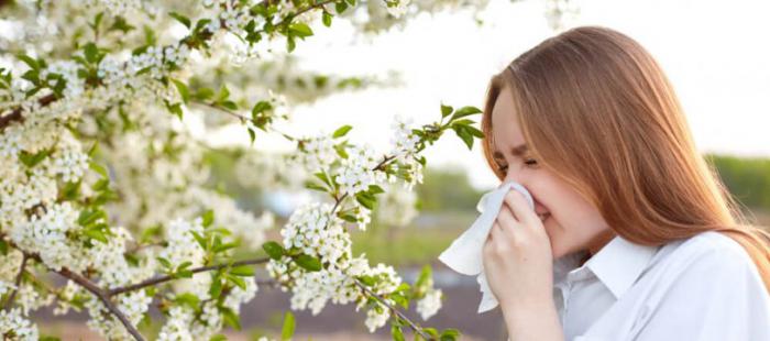 Los alérgicos al polen se enfrentan a una primavera