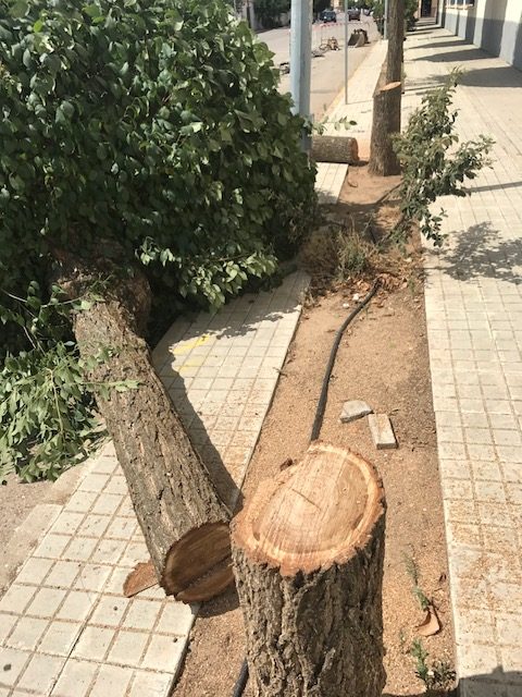 IU-Ganemos Pedroñeras se posiciona en contra de las obras iniciadas en la calle Borrero