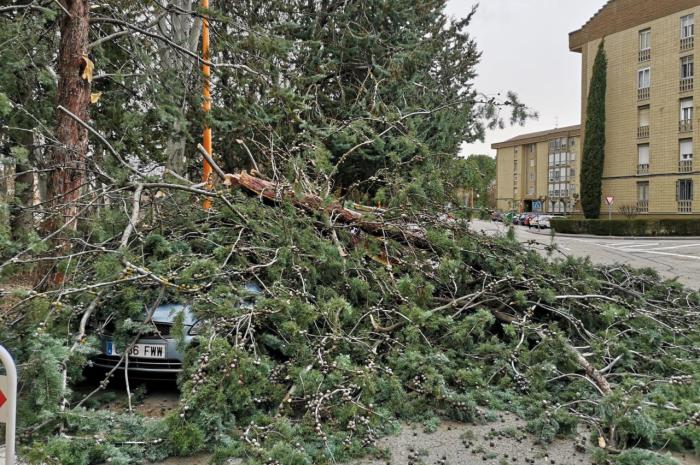 El fuerte viento causa más de 10 desprendimientos en la capital