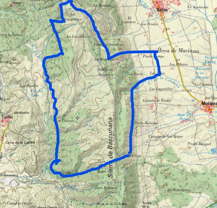 Ecologistas en Acción y Pueblos Vivos Cuenca denuncian la privatización encubierta del monte público para la instalación de Toro Verde