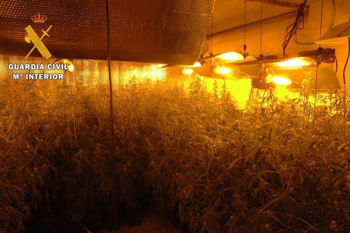 La Guardia Civil desmantela dos laboratorios interiores de marihuana en la localidad de Burguillos