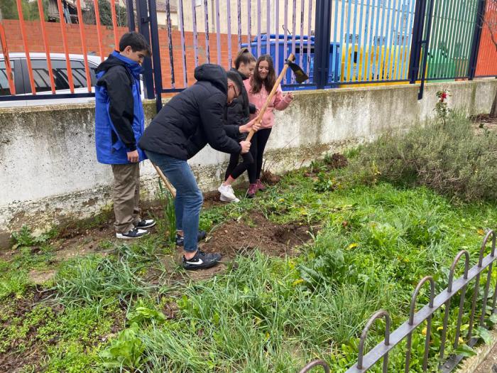 El Ayuntamiento de Carboneras de Guadazaón refuerza su apuesta por el medioambiente plantando olmos ibéricos libres de grafiosis