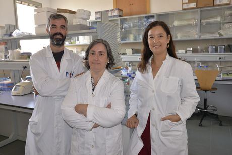 Un estudio de la UCLM revela el grave daño cerebral que causa la combinación de cocaína y alcohol