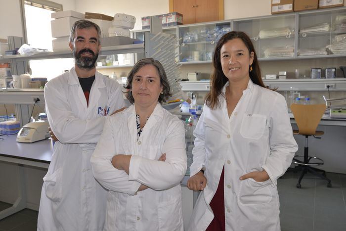 Un estudio de la UCLM revela el grave daño cerebral que causa la combinación de cocaína y alcohol