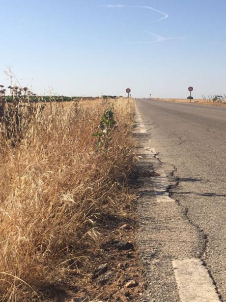 Medianero lamenta que la carretera a Manjavacas no esté arreglada para La Traída