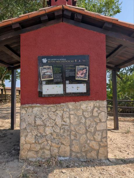 Cardenete abre un nuevo camino entre la micología y su patrimonio