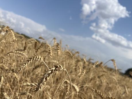 El PSOE de Cuenca celebra el aumento de más del 13% en las exportaciones provinciales y destaca el papel del sector agroalimentario
 
 