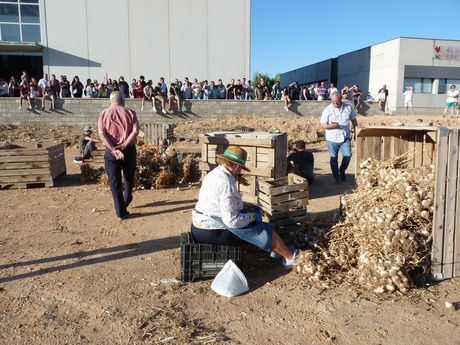 La Frontera, Locomía y el Concurso Nacional de Cocina, protagonistas de la Feria Internacional del Ajo