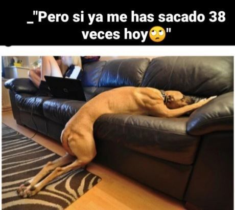 Confinados pero con humor: los memes inundan las redes sociales