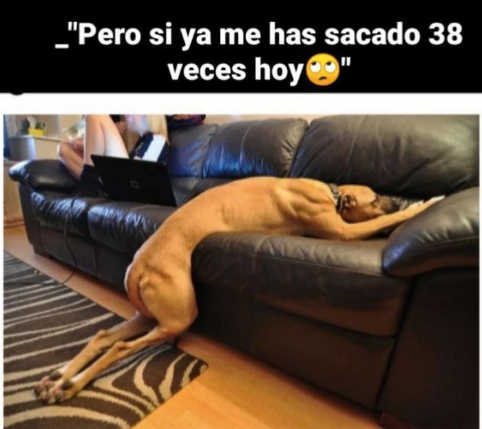 Confinados pero con humor: los memes inundan las redes sociales