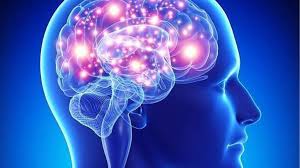 La Sociedad Española de Neurología y su Fundación del Cerebro realizarán pruebas gratuitas para revisar la salud cerebral de los conquenses