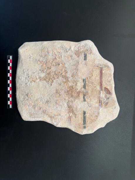 La Diputación de Cuenca lanza por primera vez ayudas de 40.000 euros para la digitalización 3D del patrimonio