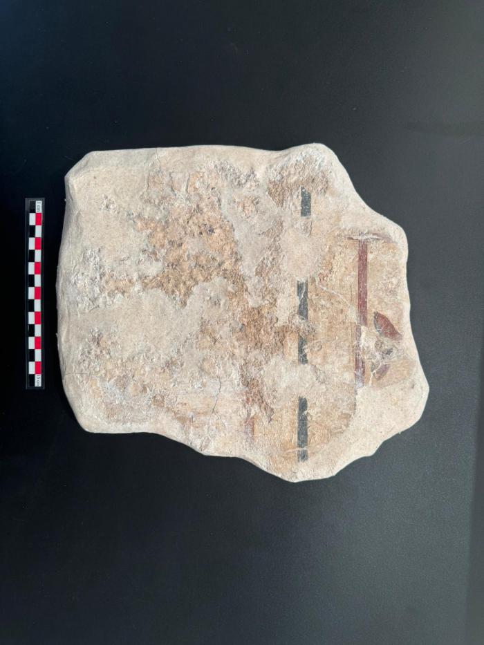La Diputación de Cuenca lanza por primera vez ayudas de 40.000 euros para la digitalización 3D del patrimonio