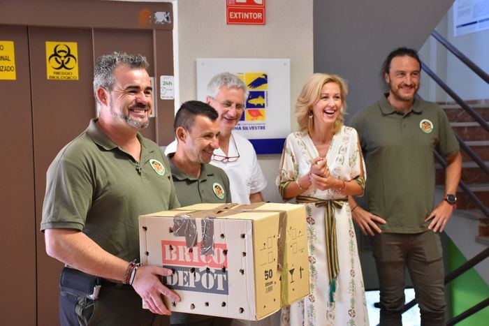 Aguiluchos cenizos y autillos, protagonistas de una jornada de liberación en el centro de Albaladejito