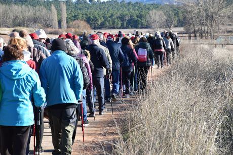 Sotos cierra el calendario de rutas senderistas para mayores de 2025 con récord de participación
