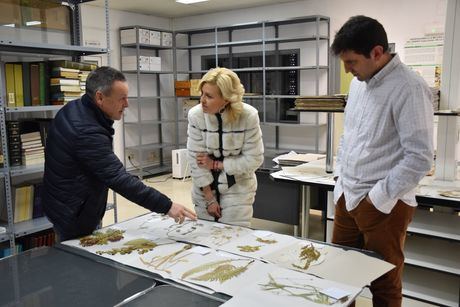 El Herbario del IRIAF en Albaladejito, clave para la conservación de la flora conquense