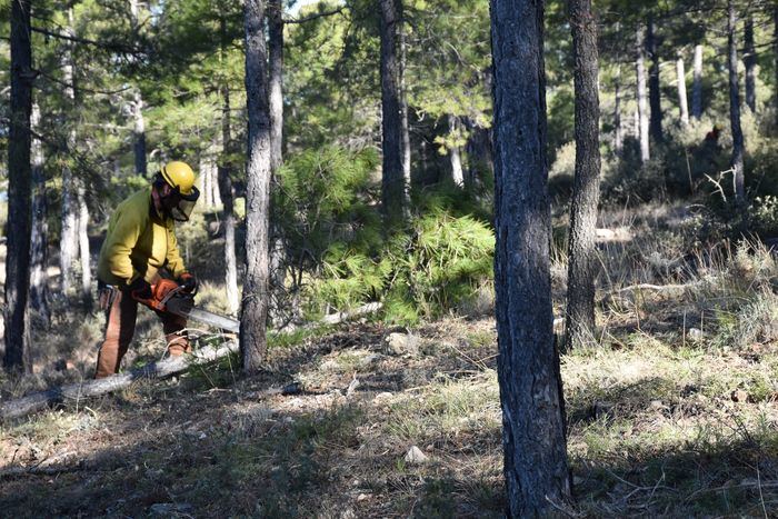 Se invertirán cerca de 10 millones de euros en la limpieza de los montes de Cuenca para prevenir incendios forestales