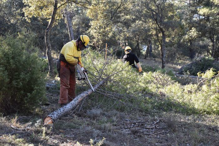 Se invertirán cerca de 10 millones de euros en la limpieza de los montes de Cuenca para prevenir incendios forestales