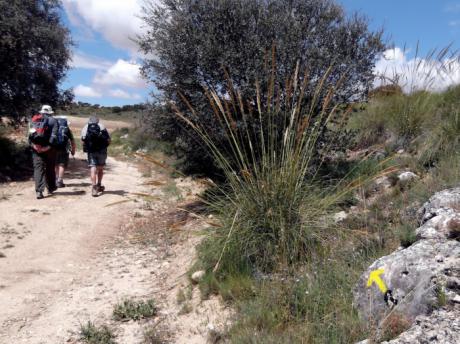 Las Vías Pecuarias y Caminos Públicos: Un Patrimonio a Defender