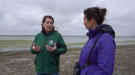 ‘El escarabajo verde’ destaca la recuperación de la Laguna del Hito en su nuevo reportaje sobre ecosistemas