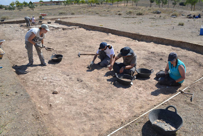 Acaba la campaña de excavaciones 2017 en Segóbriga, centrada en la exhumación de varios monumentos funerarios