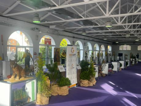 GEACAM celebra su 20 aniversario con una exposición abierta al público en Cuenca