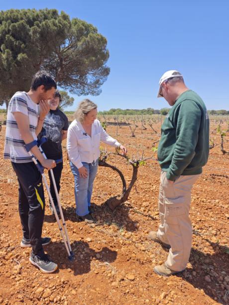 Ana Cantarero reclama ayudas urgentes para los agricultores afectados en Casas de Haro