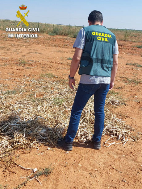 Detienen a un hombre por hurto de 3.360 kilos de ajos en la provincia