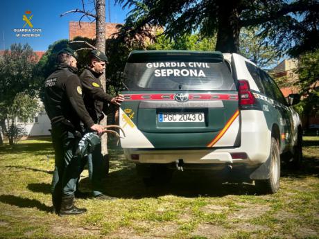  Guardia Civil 