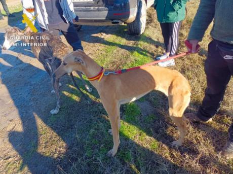 Investigadas seis personas por caza furtiva en un coto de Velada dentro de un espacio protegido
