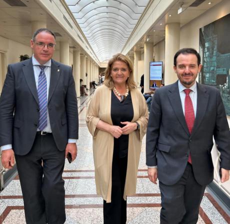 Los senadores del PP por Cuenca denuncian "ocho años perdidos" para la provincia y reclaman elecciones generales