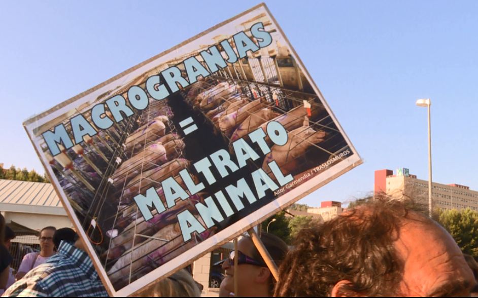 'Repor' expone el conflicto creado en muchos pueblos ante la instalación de macrogranjas de producción intensiva de carne