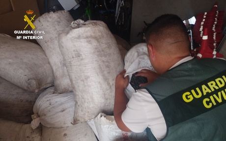 La Guardia Civil recupera cerca de una tonelada de aceituna robada en Mota del Cuervo
 