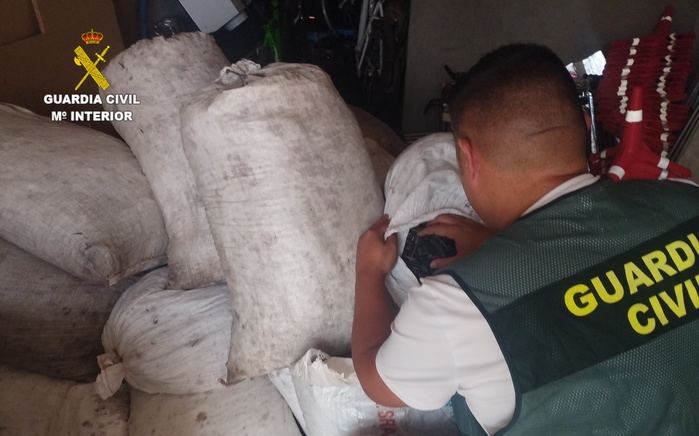 La Guardia Civil recupera cerca de una tonelada de aceituna robada en Mota del Cuervo
 