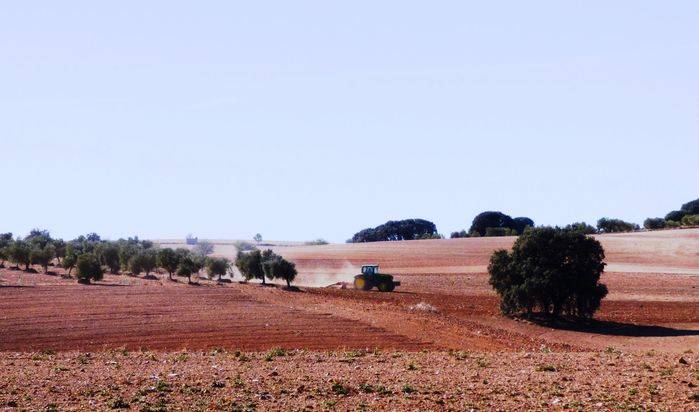 ASAJA recuerda a los agricultores la importancia de contratar el seguro agrario ante la grave situación meteorológica que estamos sufriendo