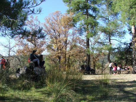 La Diputación de Cuenca destina 33.500 euros a proyectos de cooperación medioambiental en 117 municipios