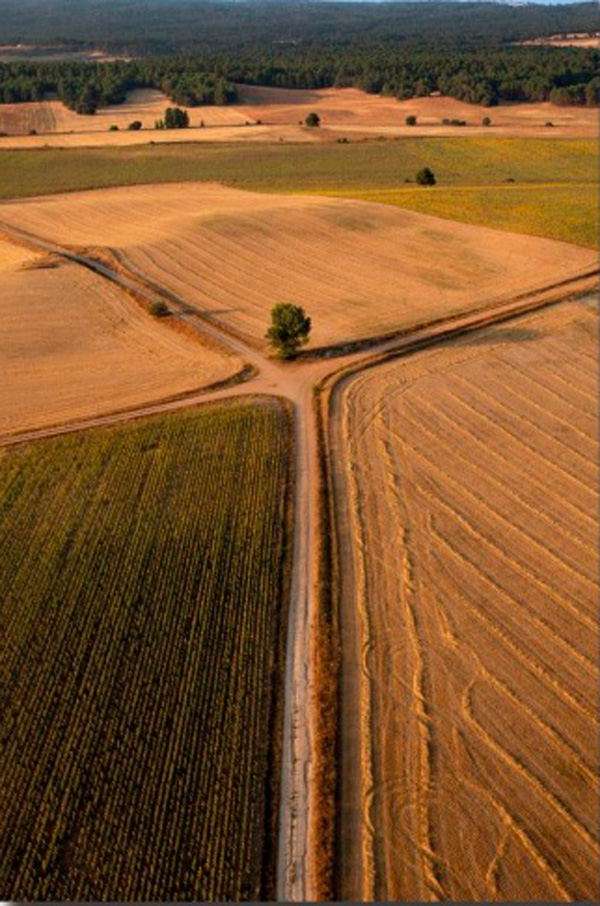 ‘A vista de globo’, la fotografía nominada al Premio Nacional de Fotografía Quijote 2021