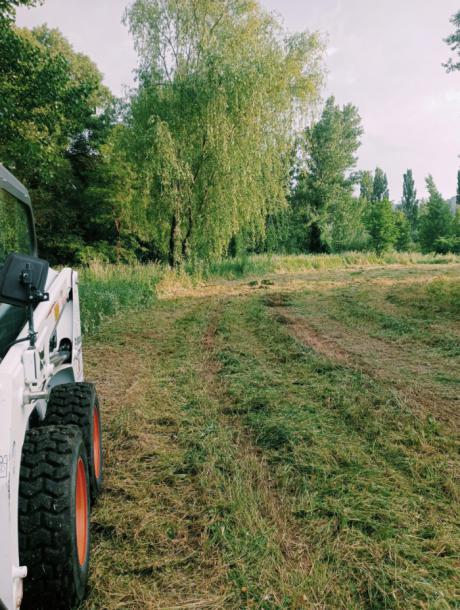 El Ayuntamiento actúa en la zona de Huertas de La Alameda con labores de limpieza y desbroce