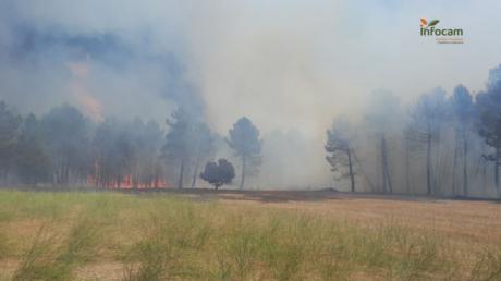 Controlado un incendio en Almodóvar del Pinar que movilizó a más de un centenar de efectivos