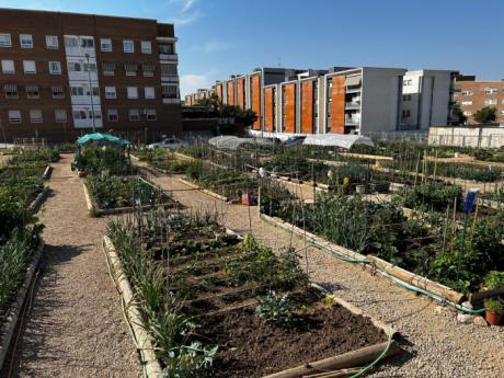 Los Huertos Sociales de Cuenca abren solicitudes para el periodo 2026-2027