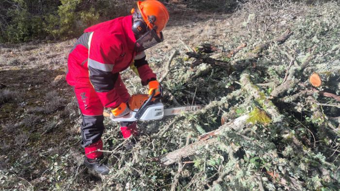El Recuenco pone en marcha un servicio gratuito para facilitar la leña a sus vecinos