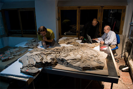 400.000 euros en ayudas a la investigación arqueológica